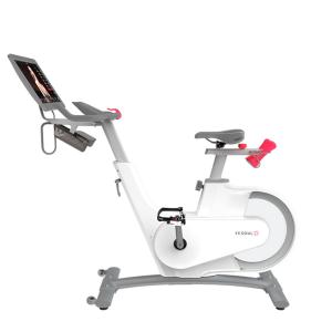 Купить Велотренажер Yesoul BV1-W PLUS в Таштаголе 
